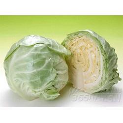 廣東糖類產(chǎn)品與蔬菜的批發(fā)、供應及廠家資源整合