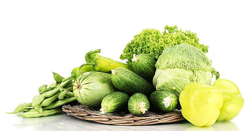 茴香氣泡清洗機與苗木產(chǎn)品報價分析