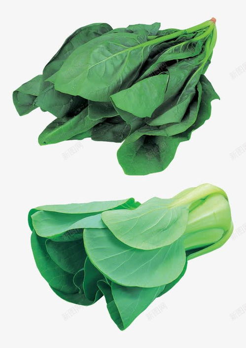 綠色蔬菜高清素材 打造自然清新的電商設計與平面創(chuàng)意