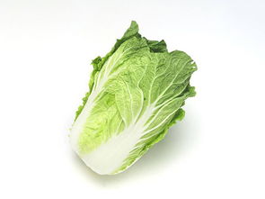 虎門酒店蔬菜配送與內陸水產(chǎn)養(yǎng)殖銷售——專業(yè)周到的食材供應解決方案