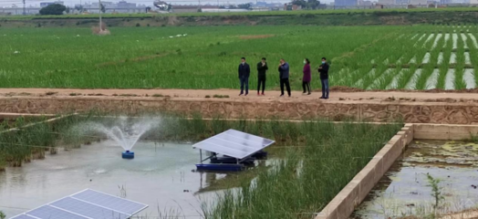 陸良縣強化養殖尾水治理，推動內陸水產養殖綠色可持續發展
