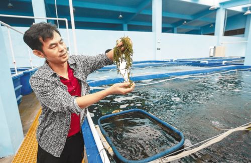 馮家灣 創新水產養殖模式，用地減法、空間加法，產出增六成以上