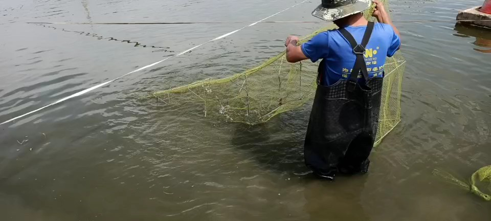 新疆"海鮮"火出圈兒 "內(nèi)陸海鮮"如何養(yǎng)殖?